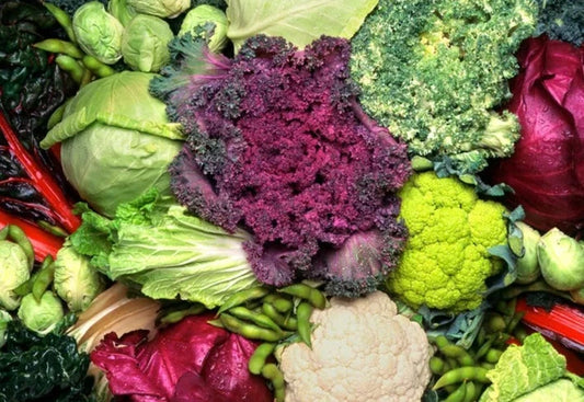 Attack, Cruciferous/Phytochemical Package